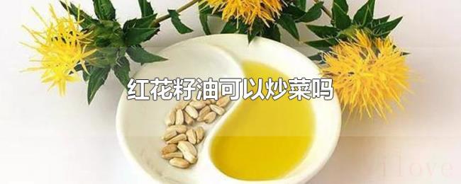红花籽油可以炒菜吗 红花籽油可以炒菜吗