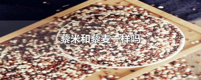藜米和藜麦一样吗 藜米和藜麦一样吗