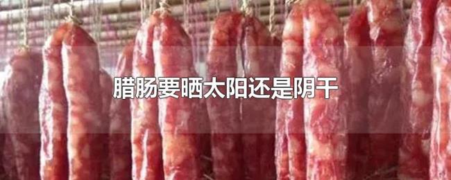 腊肠要晒太阳还是阴干 腊肠要晒太阳还是阴干