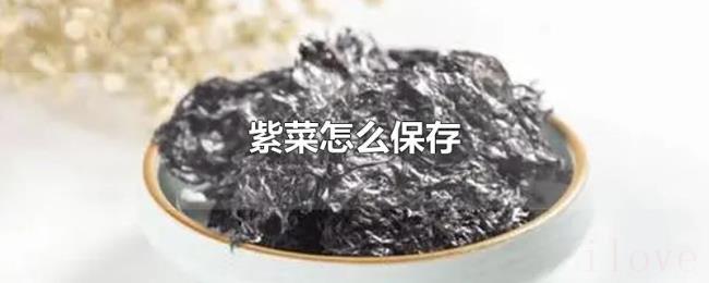 紫菜怎么保存 紫菜怎么保存
