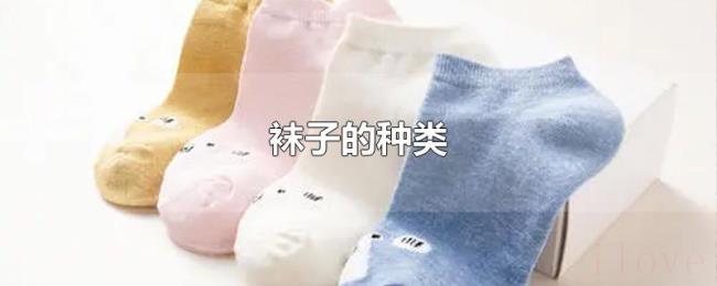 袜子的种类 袜子的种类