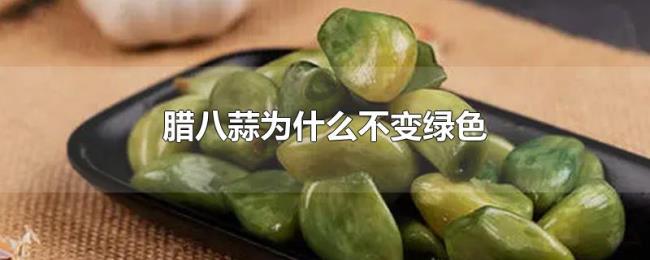 腊八蒜为什么不变绿色 腊八蒜为什么不变绿色