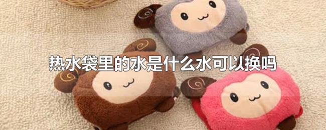热水袋里的水是什么水可以换吗 热水袋里的水是什么水可以换吗