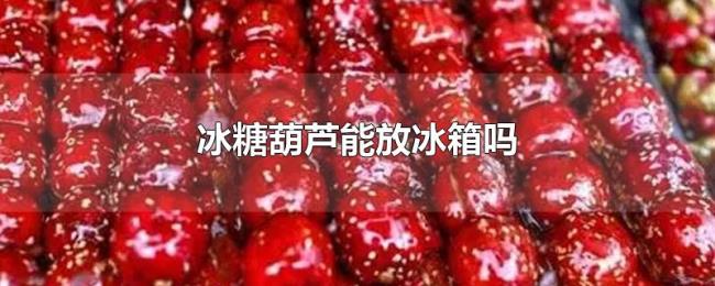 冰糖葫芦能放冰箱吗 冰糖葫芦能放冰箱吗