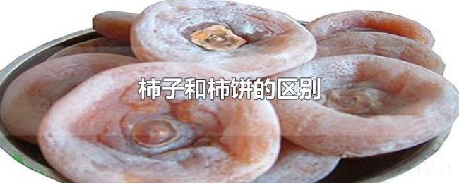 柿子和柿饼的区别 柿子和柿饼的区别