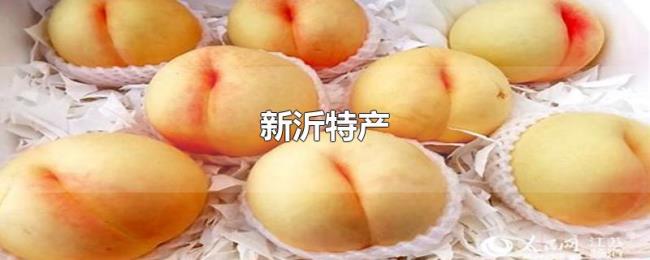 新沂特产 新沂特产