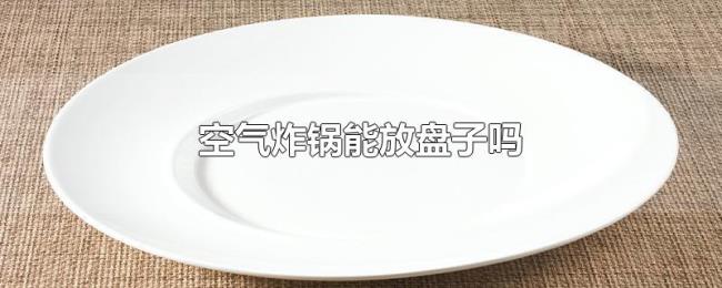空气炸锅能放盘子吗 空气炸锅能放盘子吗