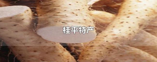 桂平特产 桂平特产