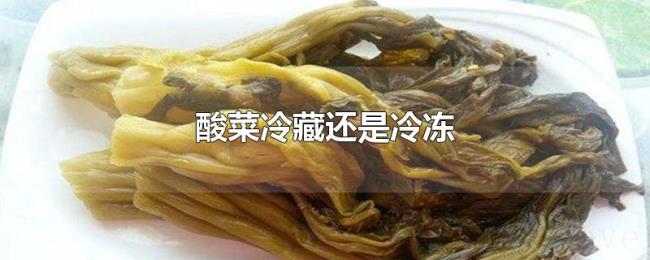 酸菜冷藏还是冷冻 酸菜冷藏还是冷冻