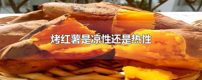 烤红薯是凉性还是热性 烤红薯是凉性还是热性