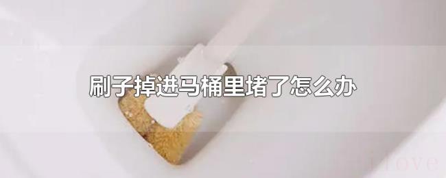 刷子掉进马桶里堵了怎么办