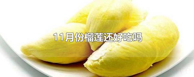11月份榴莲还好吃吗 11月份榴莲还好吃吗