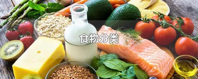 食物分类 食物分类