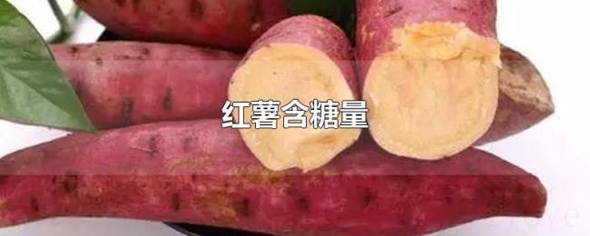 红薯含糖量 红薯含糖量