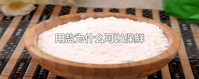 用盐为什么可以保鲜 用盐为什么可以保鲜