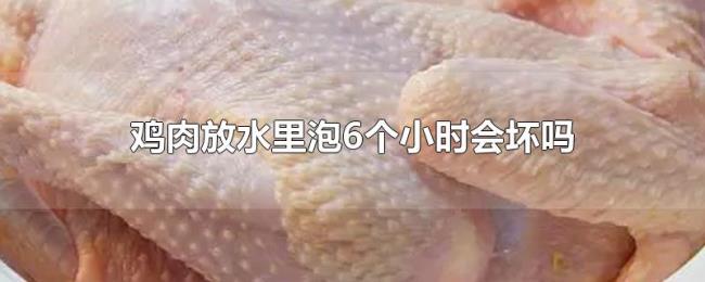 鸡肉放水里泡6个小时会坏吗 鸡肉放水里泡6个小时会坏吗