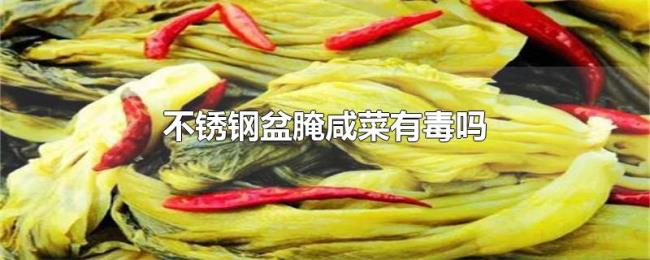 不锈钢盆腌咸菜有毒吗 不锈钢盆腌咸菜有毒吗