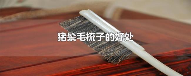 猪鬃毛梳子的好处