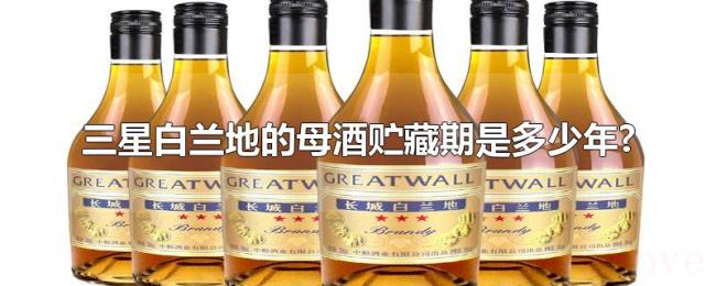三星白兰地的母酒贮藏期是多少年? 三星白兰地的母酒贮藏期是多少年?