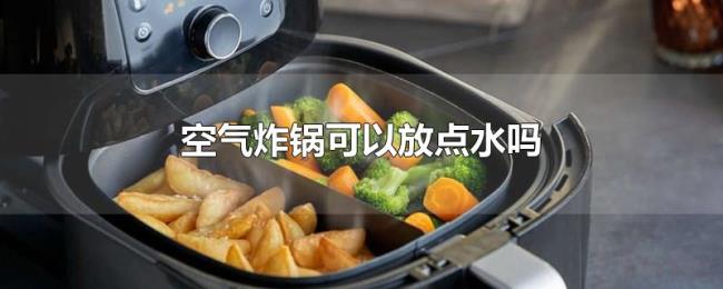 空气炸锅可以放点水吗