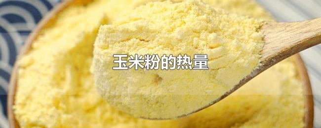 玉米粉的热量 玉米粉的热量