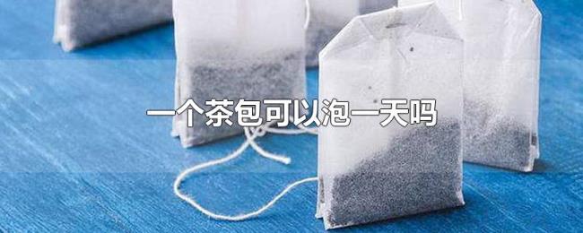 一个茶包可以泡一天吗 一个茶包可以泡一天吗