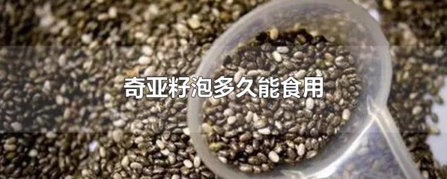 奇亚籽泡多久能食用 奇亚籽泡多久能食用