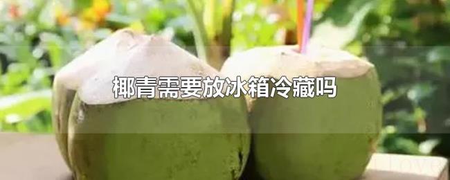 椰青需要放冰箱冷藏吗 椰青需要放冰箱冷藏吗