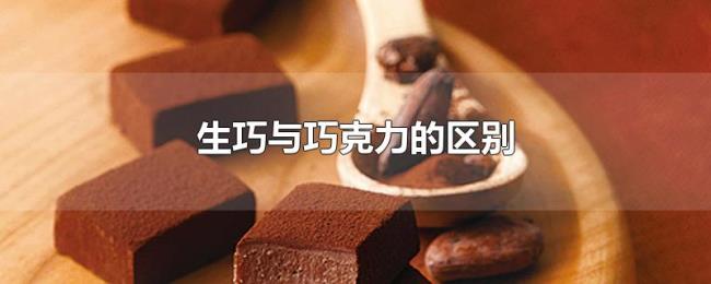 生巧与巧克力的区别 生巧与巧克力的区别