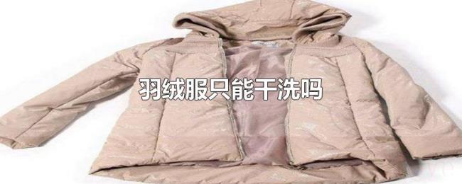 羽绒服只能干洗吗 羽绒服只能干洗吗