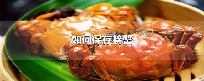 如何保存螃蟹 如何保存螃蟹
