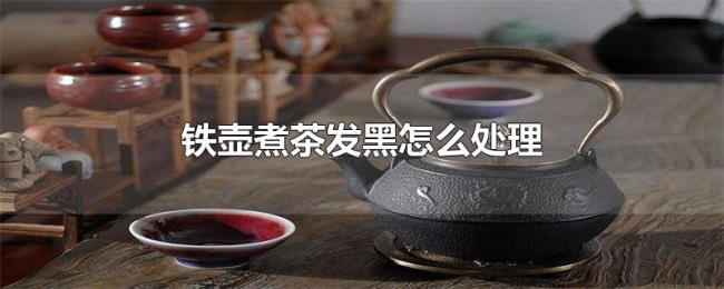 铁壶煮茶发黑怎么处理 铁壶煮茶发黑怎么处理