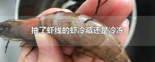 抽了虾线的虾冷藏还是冷冻 抽了虾线的虾冷藏还是冷冻