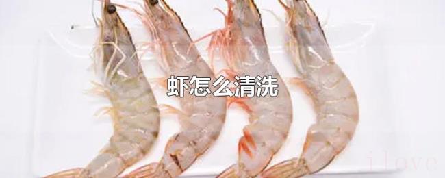 虾怎么清洗 虾怎么清洗