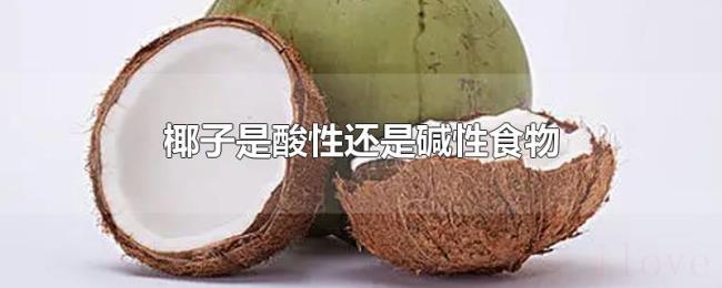 椰子是酸性还是碱性食物