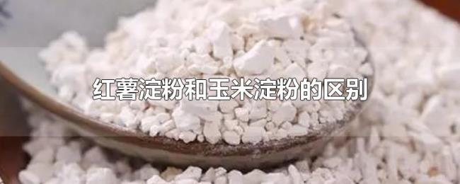 红薯淀粉和玉米淀粉的区别