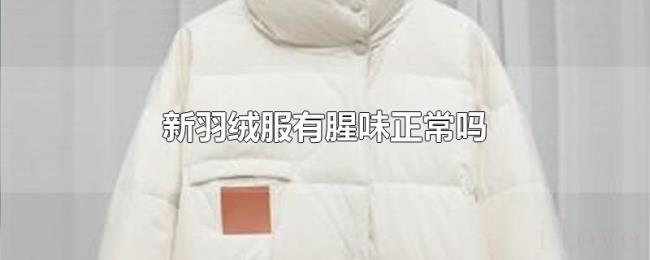 新羽绒服有腥味正常吗