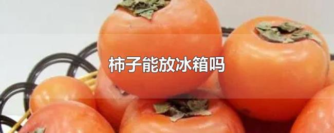 柿子能放冰箱吗 柿子能放冰箱吗