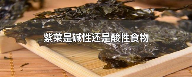 紫菜是碱性还是酸性食物