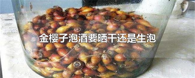 金樱子泡酒要晒干还是生泡 金樱子泡酒要晒干还是生泡