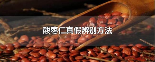 酸枣仁真假辨别方法 酸枣仁真假辨别方法