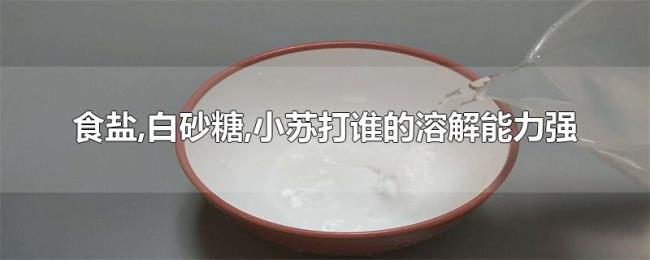 食盐,白砂糖,小苏打谁的溶解能力强