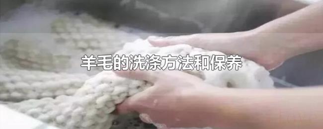 羊毛的洗涤方法和保养 羊毛的洗涤方法和保养