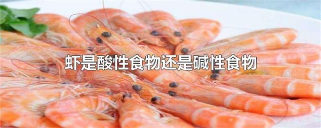 虾是酸性食物还是碱性食物