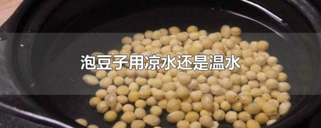 泡豆子用凉水还是温水 泡豆子用凉水还是温水