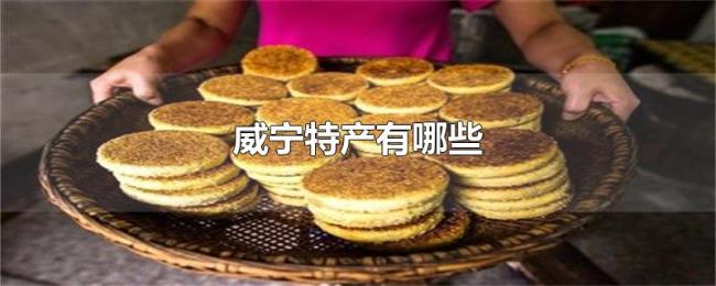 威宁特产有哪些