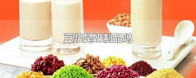 豆浆是奶制品吗