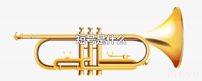 短号是什么 短号是什么