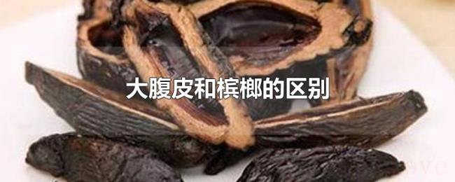 大腹皮和槟榔的区别 大腹皮和槟榔的区别