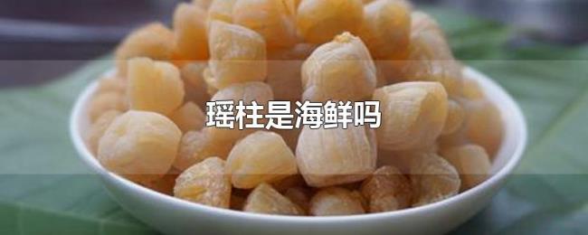 瑶柱是海鲜吗 瑶柱是海鲜吗